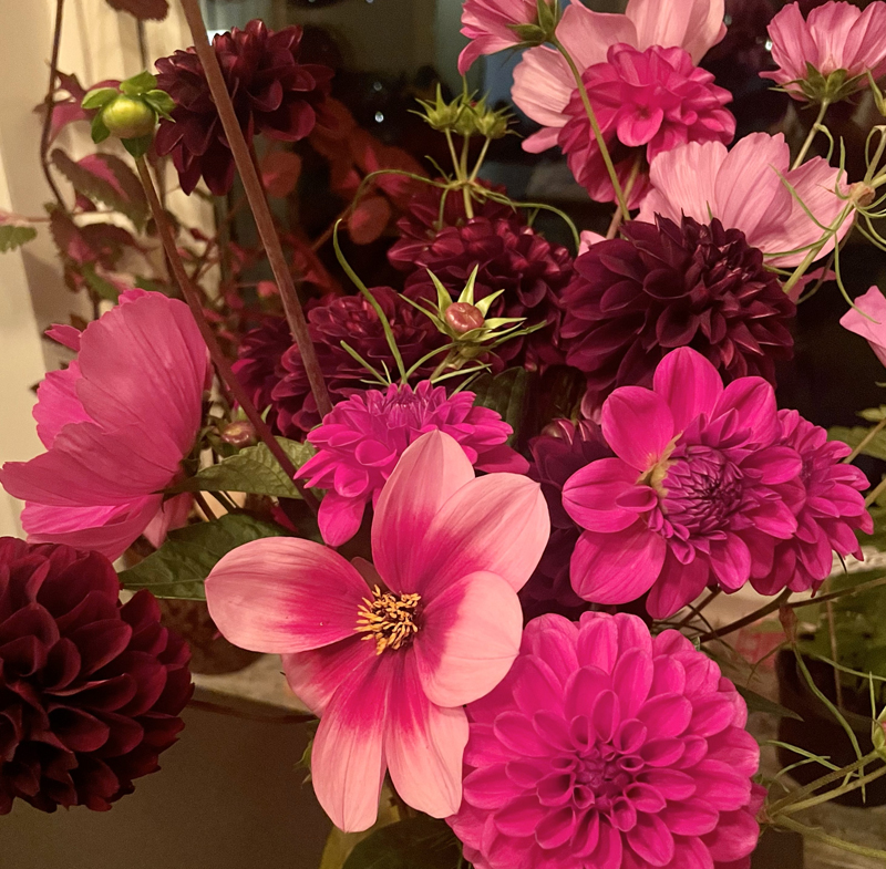 Även hösten bjuder på vackra blommor!