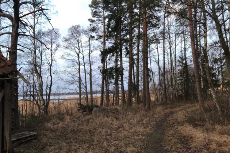 Skötselplan behövs i strandnära bebyggelse