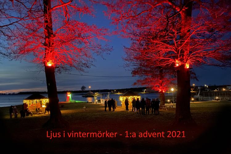 Ljus i vintermörker